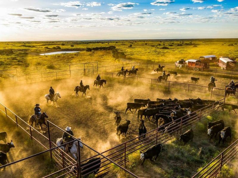 texas ranch
