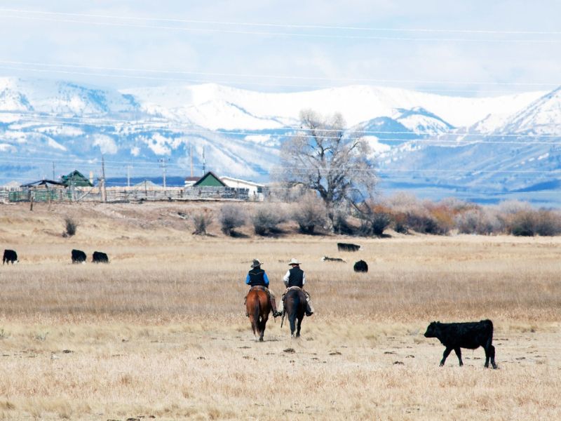 Wyoming ranch
