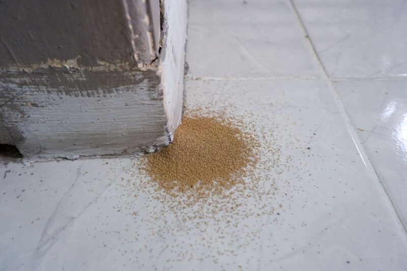 Signs of Termite Infestation